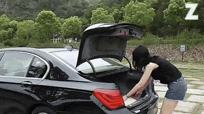 Smart Auto Car Protector